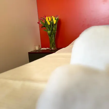 Sunny - Mobile 1 Minute From With Free Parking And Wifi! Apartmán *